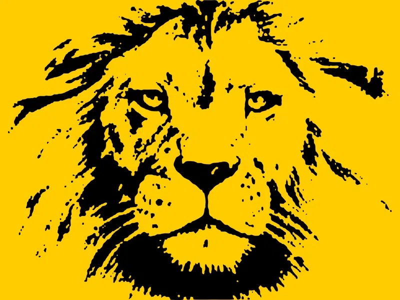 O espírito competitivo, Leões e Atletas