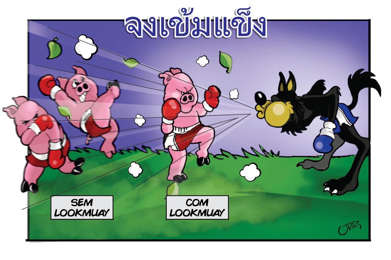 O que é look muay e pra que serve?