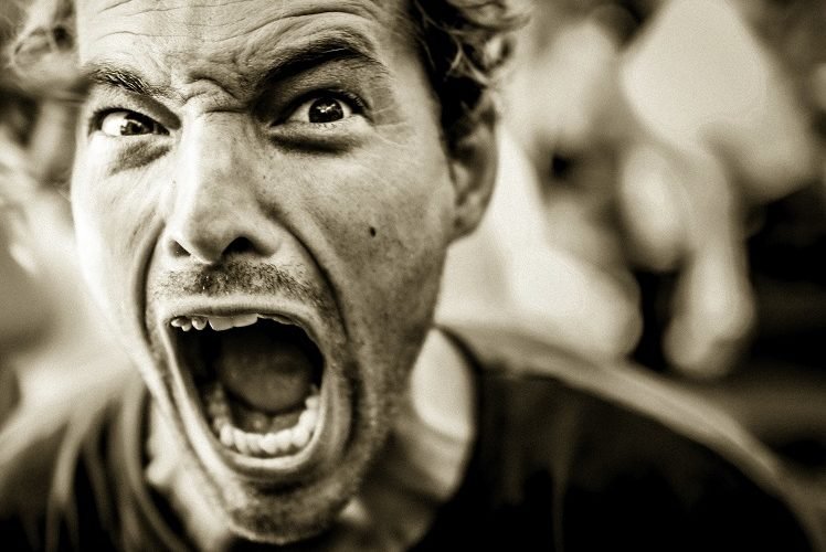 Vou xingar muito vocês no Twitter e outras bobagens